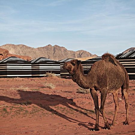 Desert Melody Hotel Wadi Rum Exterior foto