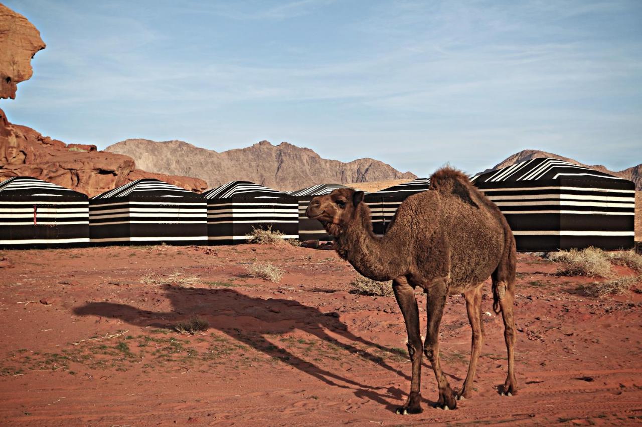 Desert Melody Hotel Wadi Rum Exterior foto